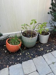 3 Planters Ceramic