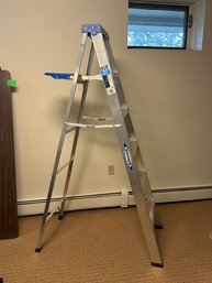 Werner 10ft Ladder (B)