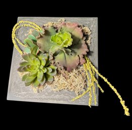 Succulent Hanging Wall Art