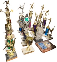 Shelf Full Of Assorted Trophies 19pc (B)
