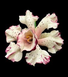 Capodimonte Porcelain Orchid
