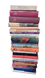 Large Assortment Of Books B (LR)