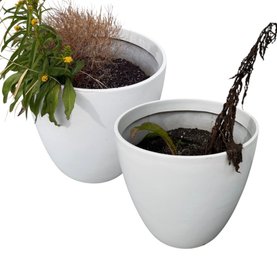 Large White Outdoor Plant Pot Pair (Y)