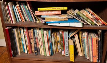 Two Shelves Full Of Assorted Books B (BR3)