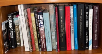 Shelf Of Assorted Books A Mostly Art & Travel (H)