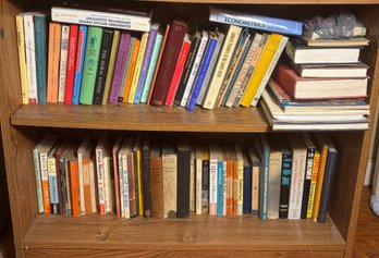 Two Shelves Of Books D (BR3)