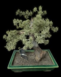 Japanese Bonsai Tree In Green Glazed Planter Faux Plant