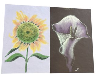 2 Original Pastel On Paper By Unknown Artist (BR2)