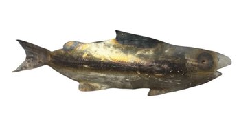 Metal Fish Art Sculpture Wall Hanging