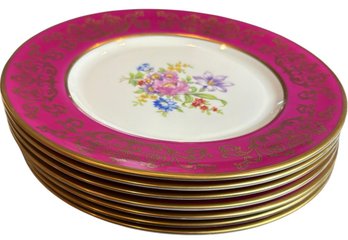 Ravens Wood Gilded Floral Plate Set 7pc (K)