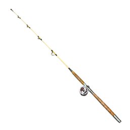 Fishing Rod With Penn Senator Reel