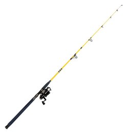 Eagle Claw Fishing Rod With Graphite Reel