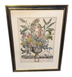 18th Century Style Framed English Floral Print
