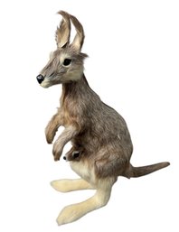 Genuine Fur Kangaroo Taxidermy Statue With Joey