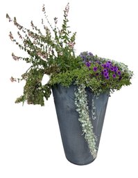Large Plastic Outdoor Planter W/ Live Plant (Y)