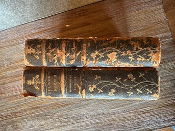 2 Books Bulwers  Novels