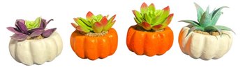 Halloween Tabletop Pumpkin Succulents