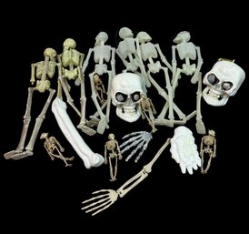 Skulls, Skeletons & Bones Halloween Decoration Collection