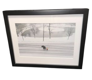 Rosemie Leyre Winter At Goldfish Pond Framed Photography Print