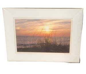 Debra Gaines Beach Grass Original Signed Art Photography