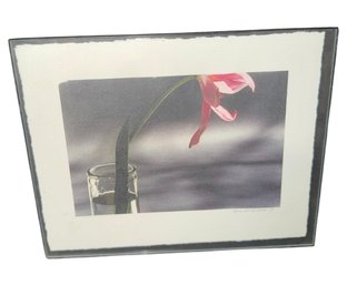 Karen Lehman Original Signed Floral Photography