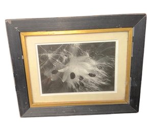 Original Black & White Framed Photography