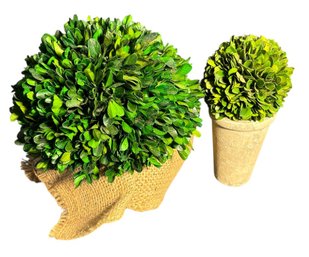 Small Faux Plant Set 2pc