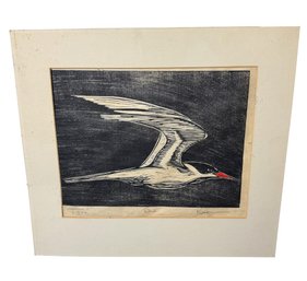 Tern Bird Signed Artists Proof Artwork (LR)