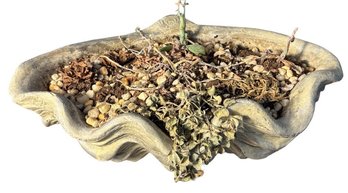 Large Clam Shell Style Planter (DR)