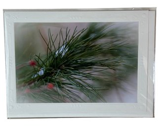 Janice Koskey Pine Needle Photography Print (DR)
