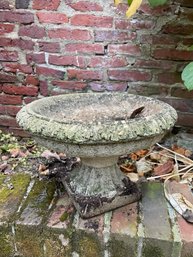 Cement Planter  (by)