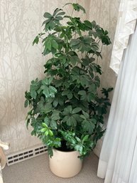Tall Faux Plant Shefflera W/ Lights (DR)