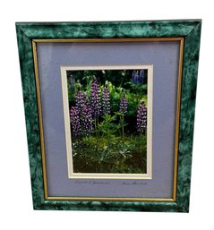 Ann Paulson (1938-2025) Lupine & Diamonds Original Signed & Framed Floral Photography