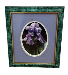 Ann Paulson (1938-2025) After The Rain Original Signed & Framed Floral Photography