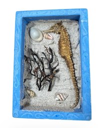 Seahorse Taxidermy Shadowbox Wall Art