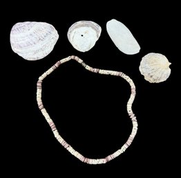 Puka Shell Necklace & Assorted Seashells 5pc