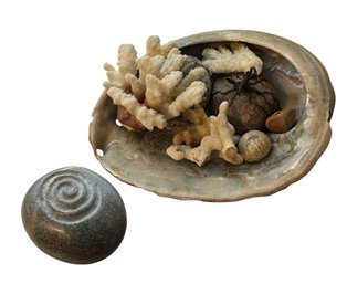 Seashells, Corral & Decorative Rock (LR)