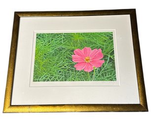 Original Signed Pink Floral Photography Print In Gold Tone Frame
