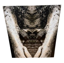 Rosemie Leyre Trees In Burma Art Photography Print (BR1)