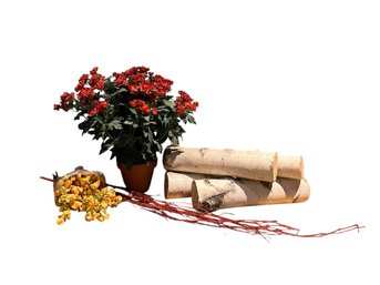 Faux Flora Decor & Decorative Logs (d)