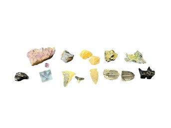 Rocks, Semi Precious Stones & Fossils