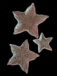 Set Of Nesting Starfish Bubble Glass Serving Plates