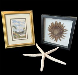 Signed Print Of Gibbs Hill Lighthouse By Anita Symonds, Frames Sunflower Starfish & White Starfish (GBR2)