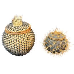 Signed Cactus Spike And Porcupine Quill Baskets
