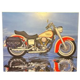 Harley Davidson Electra Glide Poster On Board
