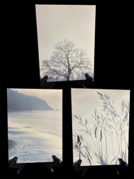 IKEA Landscape Prints 3pc