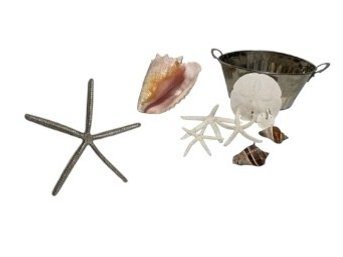 Silver Tone Bucket W/ Starfish,  Lg Conch Shell & Other Shells (O)