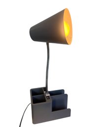 Goose Neck Desk Lamp (BR2)