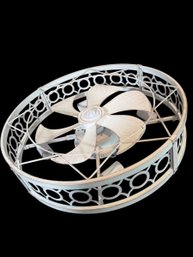 LEDIARY Caged Flush Mount Ceiling Fan With Lights (SR)