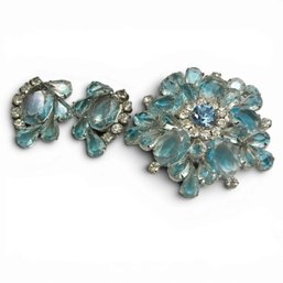 Costume Pin With Clip On Earrings